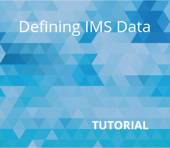 Defining IMS Data