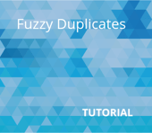 Fuzzy Duplicates