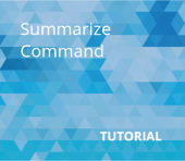 Summarize Command