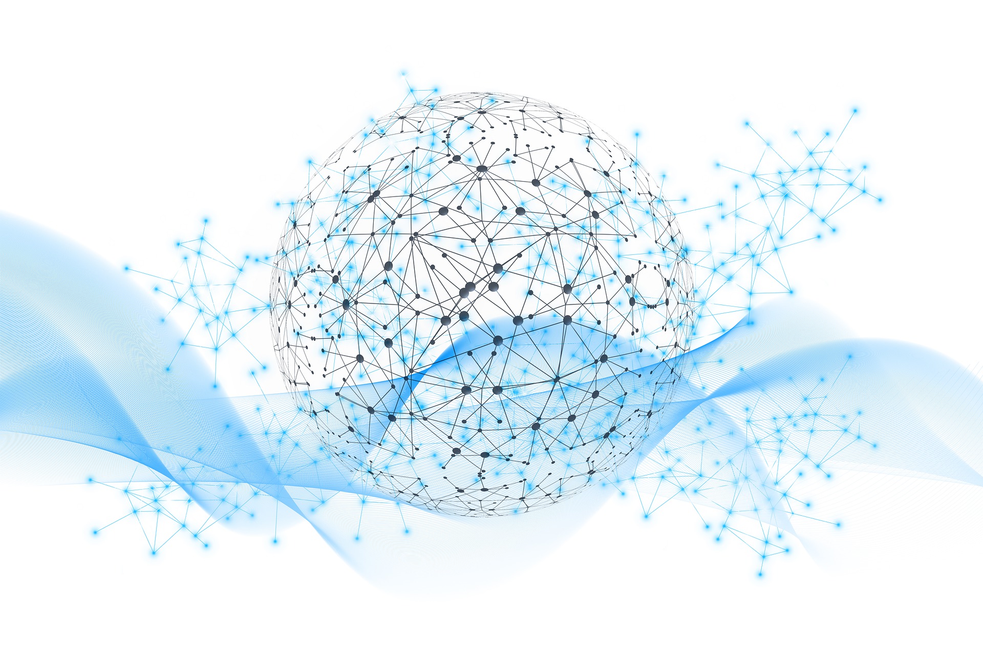 Arbutus Software - Thank you